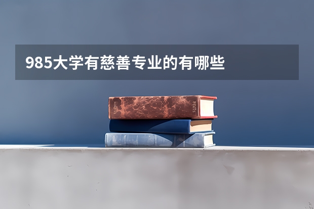 985大学有慈善专业的有哪些