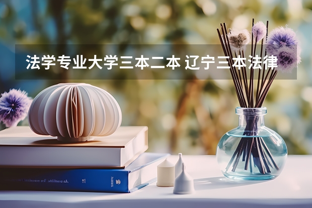 法学专业大学三本二本 辽宁三本法律专业分数线