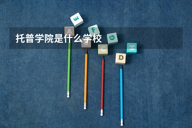托普学院是什么学校