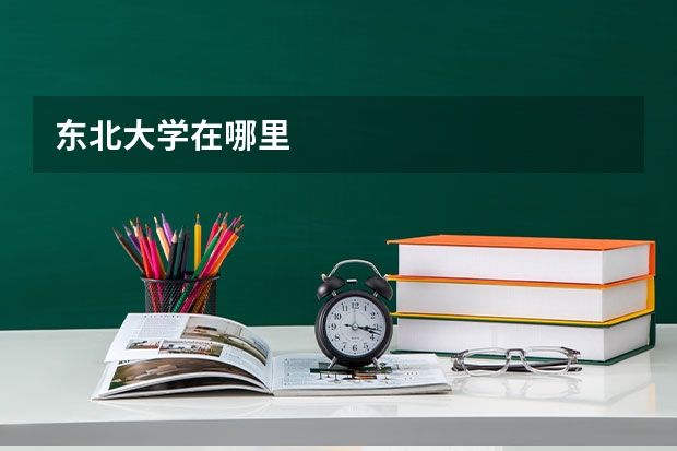 东北大学在哪里