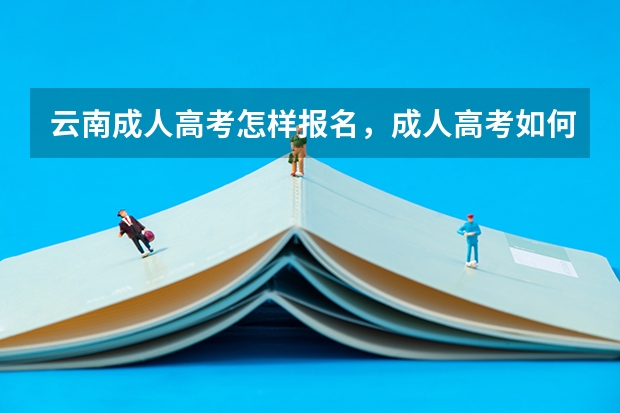 云南成人高考怎样报名，成人高考如何报名