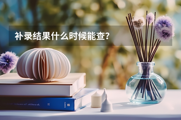 补录结果什么时候能查？