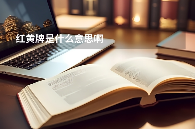 红黄牌是什么意思啊