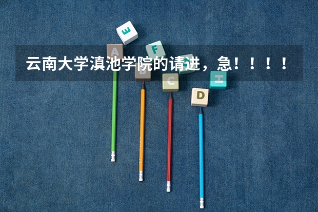云南大学滇池学院的请进，急！！！！（云南师范大学商学院和云南大学滇池学院）