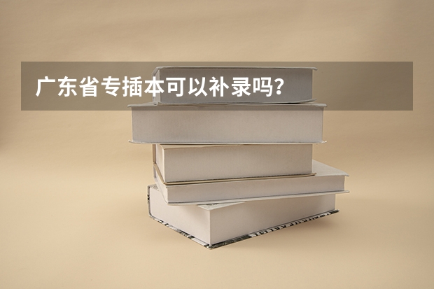 广东省专插本可以补录吗？