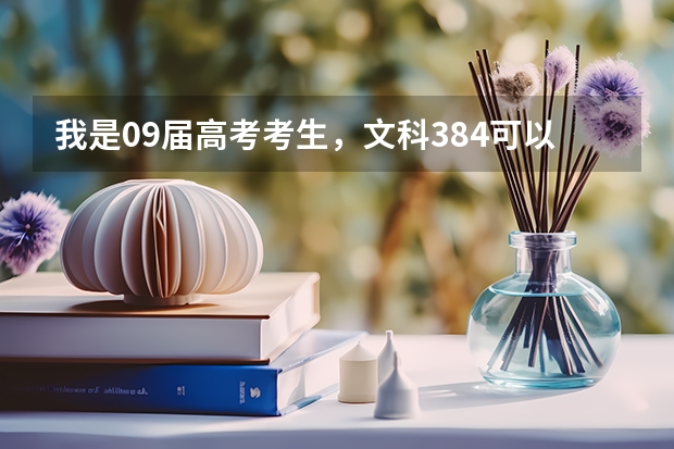 我是09届高考考生，文科384可以进江门职业技术学院吗？