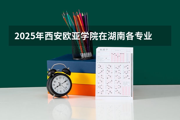 2025年西安欧亚学院在湖南各专业都招多少人