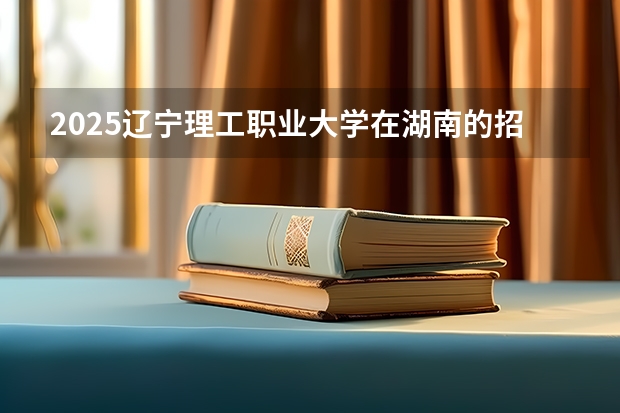 2025辽宁理工职业大学在湖南的招生情况介绍