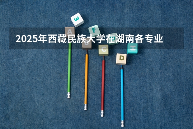 2025年西藏民族大学在湖南各专业都招多少人
