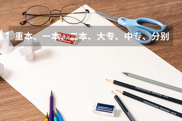 重本、一本、二本、大专、中专、分别是指什么意思、按高低排列大专属什么程度？