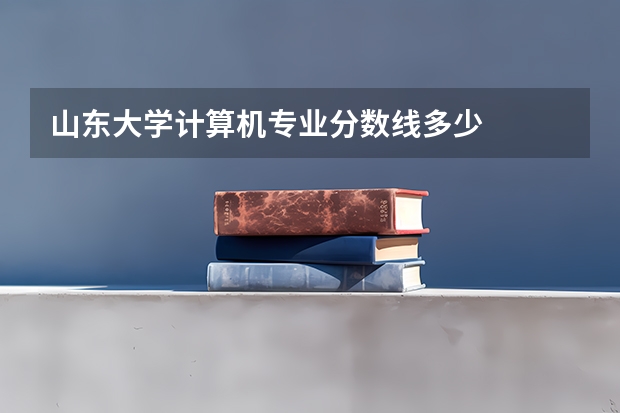 山东大学计算机专业分数线多少
