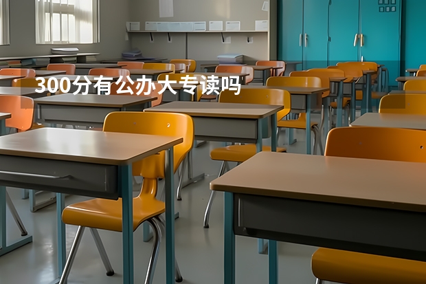 300分有公办大专读吗