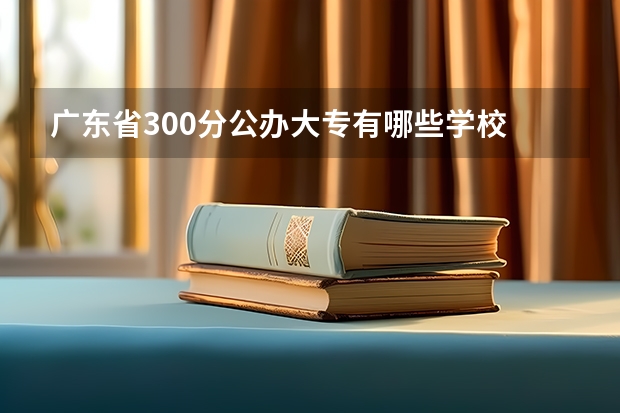 广东省300分公办大专有哪些学校
