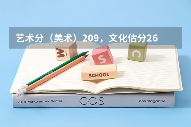艺术分（美术）209，文化估分260左右（文科）.能上什么学校？我是河南的，最好是郑州的学校