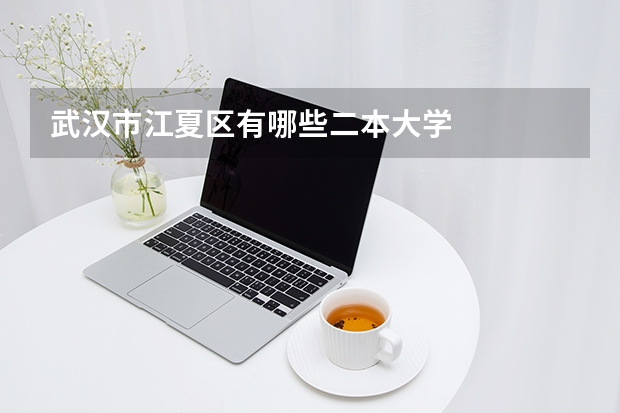 武汉市江夏区有哪些二本大学