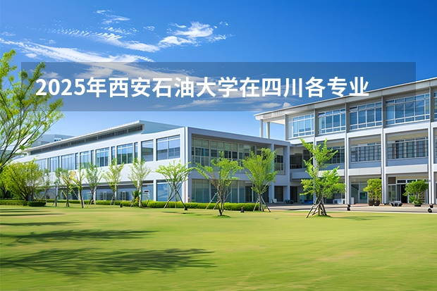 2025年西安石油大学在四川各专业都招多少人