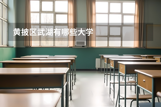 黄披区武湖有哪些大学