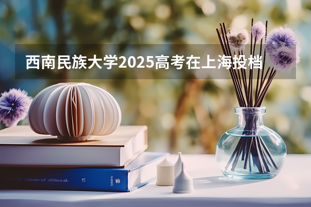 西南民族大学2025高考在上海投档分数线