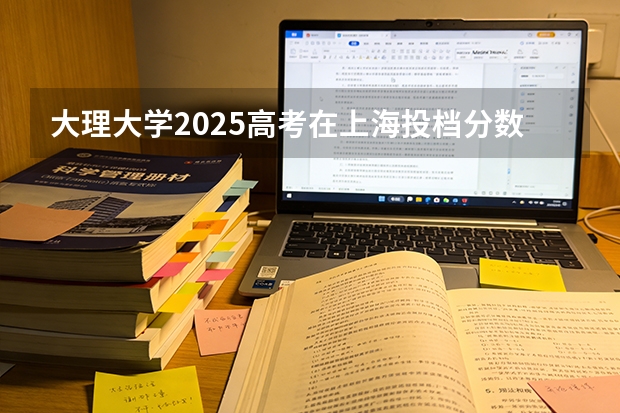 大理大学2025高考在上海投档分数线