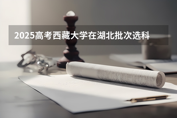 2025高考西藏大学在湖北批次选科要求有哪些