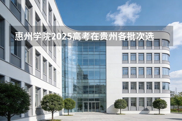 惠州学院2025高考在贵州各批次选科要求如何