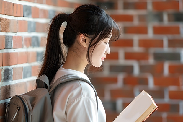 2024宁夏高考文科335可以上什么大学预测