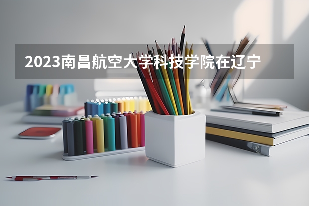 2023南昌航空大学科技学院在辽宁高考专业招生计划人数