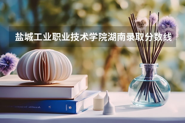 盐城工业职业技术学院湖南录取分数线 盐城工业职业技术学院湖南招生人数多少