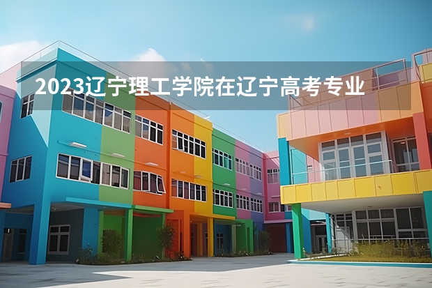 2023辽宁理工学院在辽宁高考专业招生计划人数