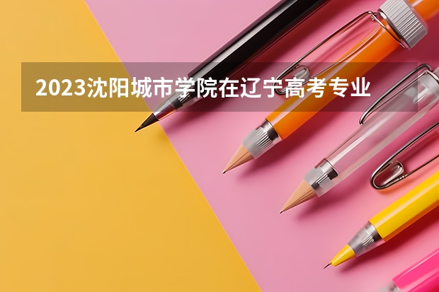2023沈阳城市学院在辽宁高考专业招生计划人数