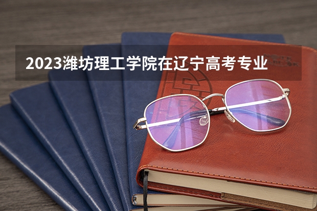 2023潍坊理工学院在辽宁高考专业招生计划人数