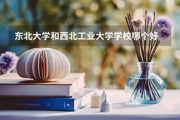 东北大学和西北工业大学学校哪个好 录取分数线对比