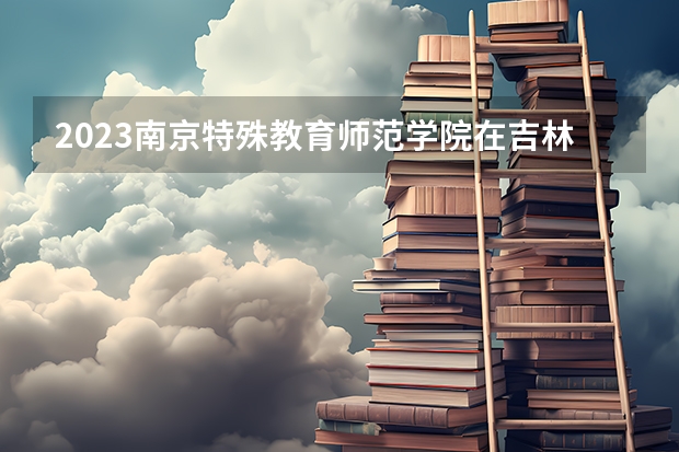 2023南京特殊教育师范学院在吉林高考专业招生计划人数