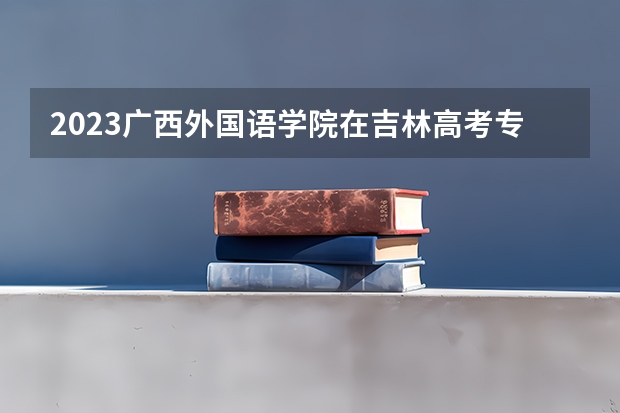 2023广西外国语学院在吉林高考专业招生计划人数