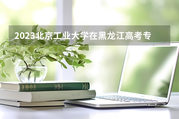 2023北京工业大学在黑龙江高考专业招生计划人数