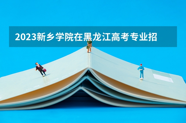 2023新乡学院在黑龙江高考专业招生计划人数