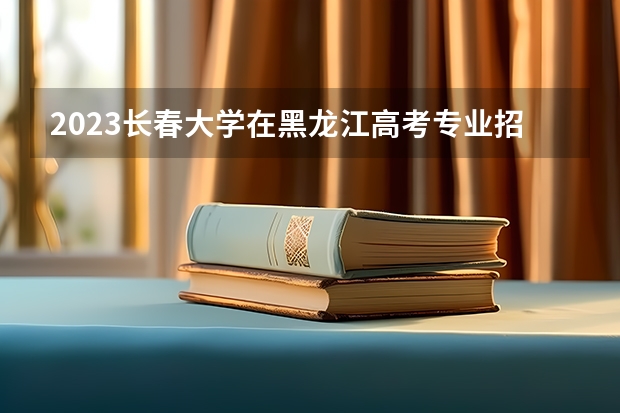 2023长春大学在黑龙江高考专业招生计划人数