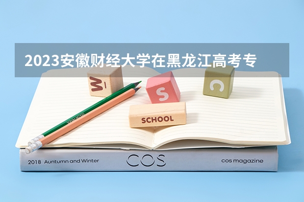 2023安徽财经大学在黑龙江高考专业招生计划人数
