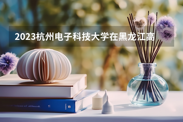 2023杭州电子科技大学在黑龙江高考专业招生计划人数