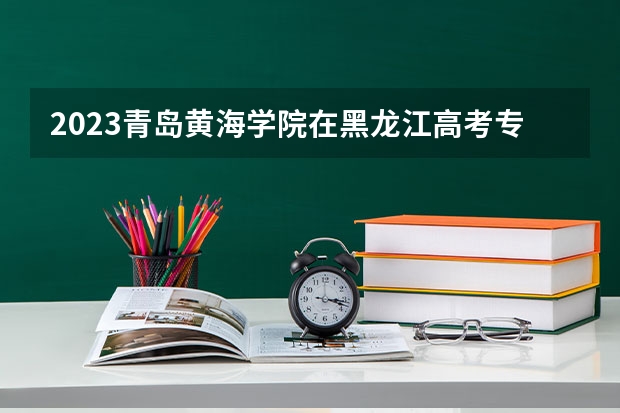 2023青岛黄海学院在黑龙江高考专业招生计划人数