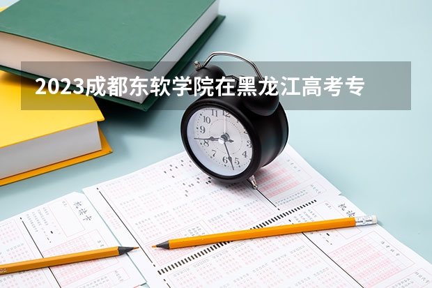 2023成都东软学院在黑龙江高考专业招生计划人数