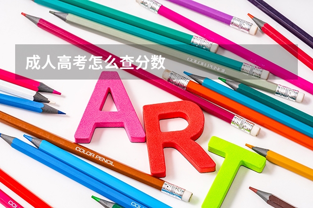 成人高考怎么查分数
