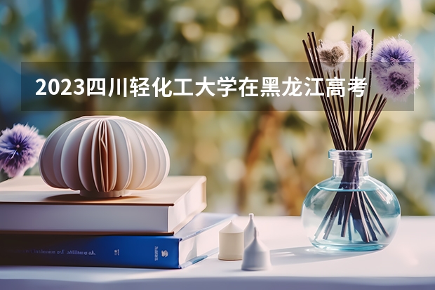 2023四川轻化工大学在黑龙江高考专业招生计划人数