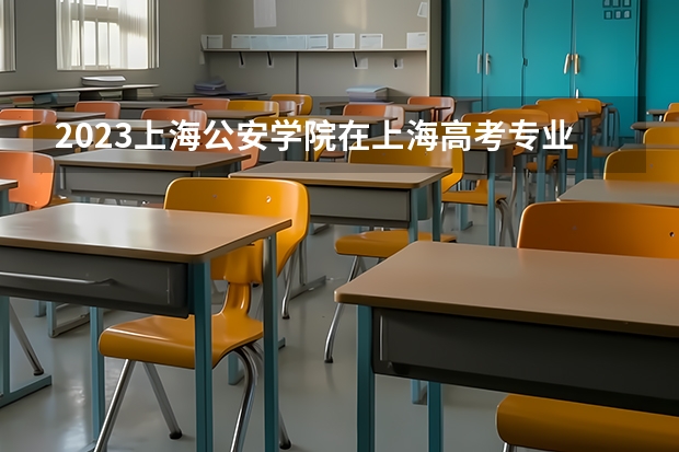 2023上海公安学院在上海高考专业招生计划人数