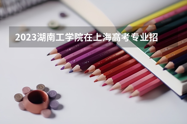2023湖南工学院在上海高考专业招生计划人数