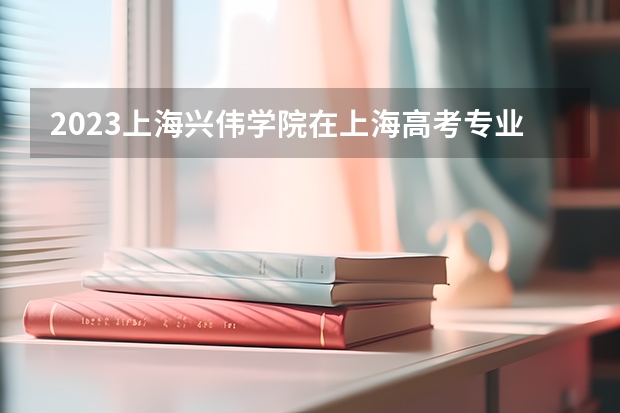 2023上海兴伟学院在上海高考专业招生计划人数
