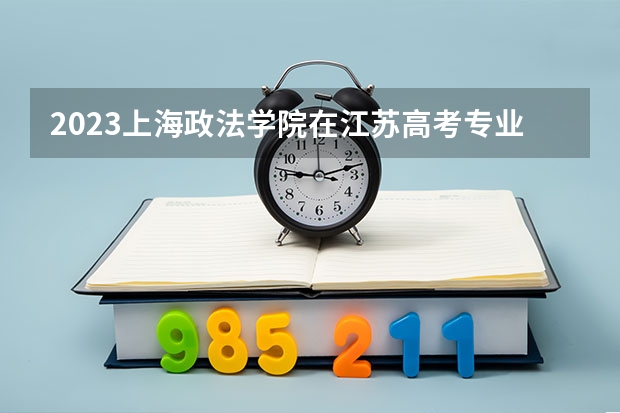 2023上海政法学院在江苏高考专业招生计划人数