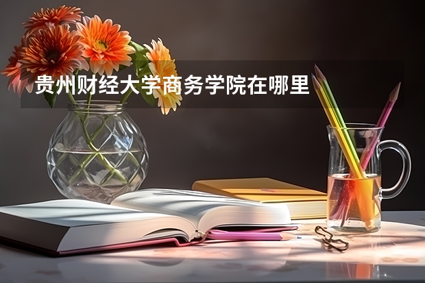 贵州财经大学商务学院在哪里