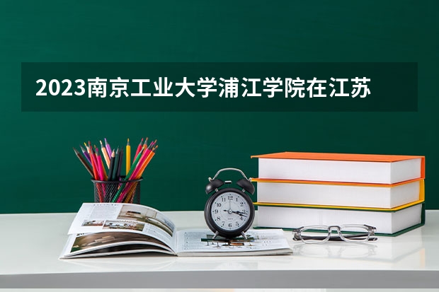 2023南京工业大学浦江学院在江苏高考专业招生计划人数