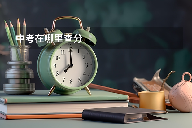 中考在哪里查分